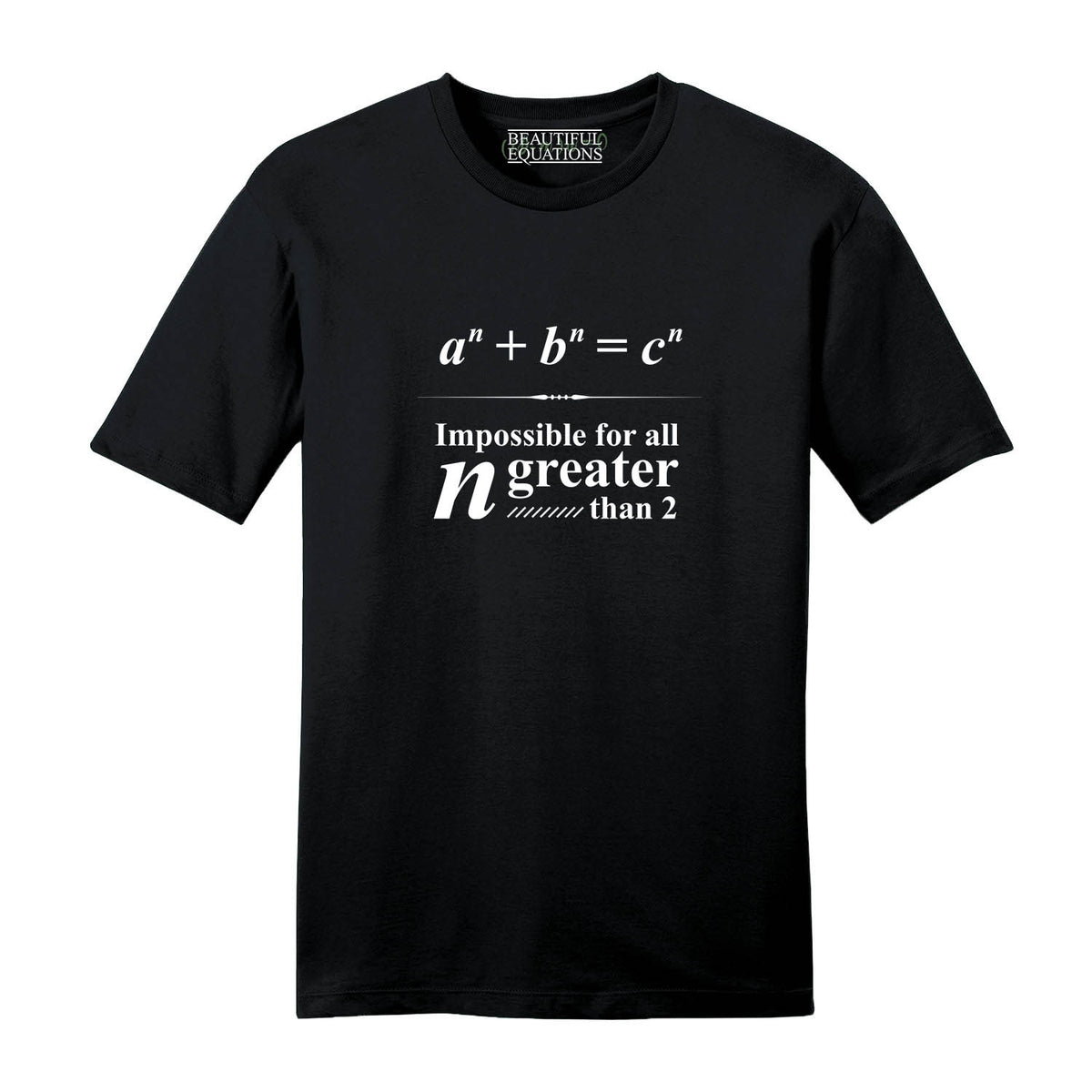 Fermat's Last Theorem Men's Tee – Beautiful Equations