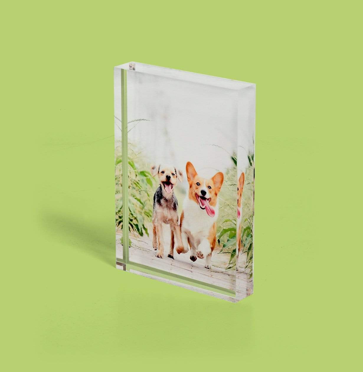 Pet Photo Printed on Acrylic Block - Desk Decor by Posterjack Canada