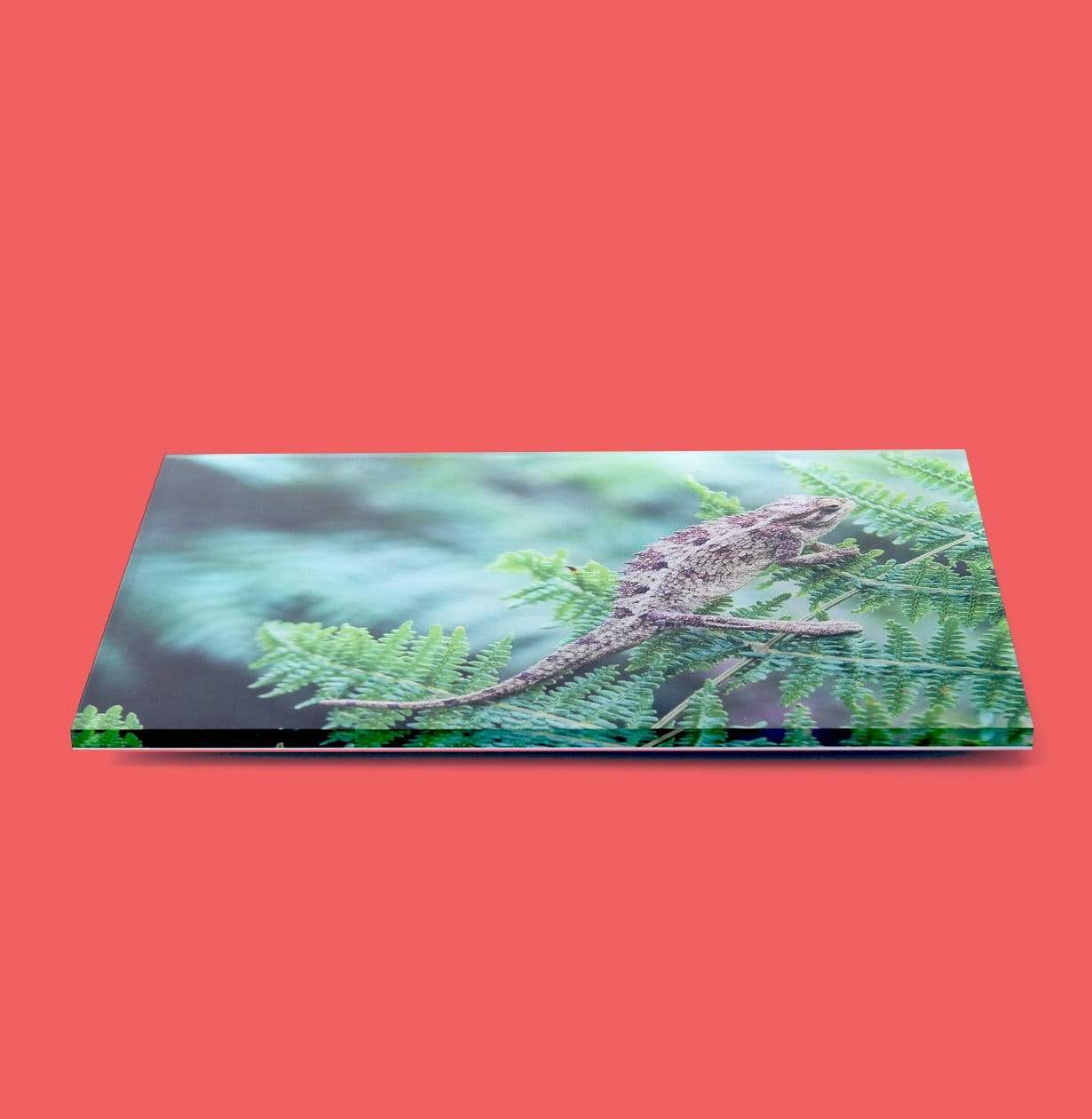 Side-view of an Acrylic Print without a Hanging System Installed