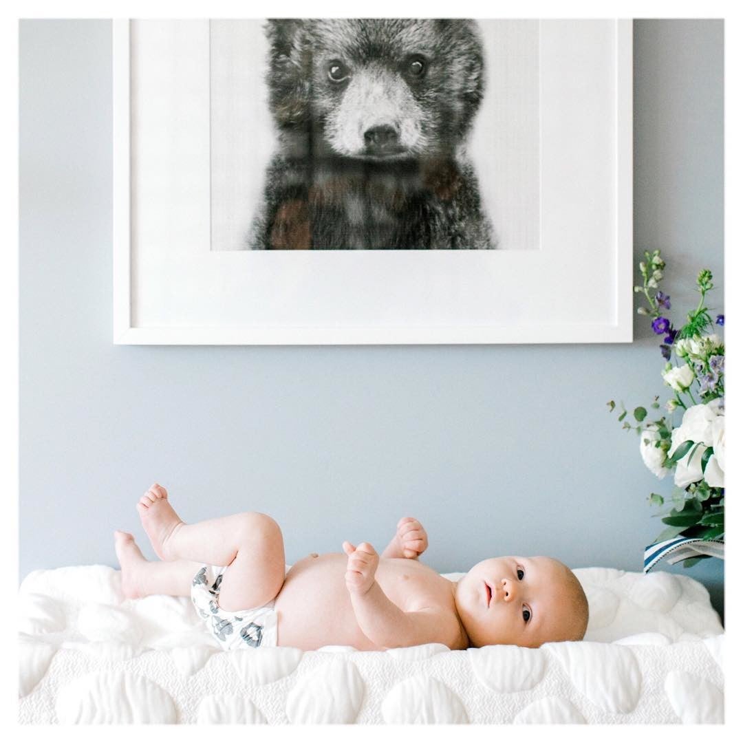 Black & White Baby Bear Photo in White Picture Frame in Nursery