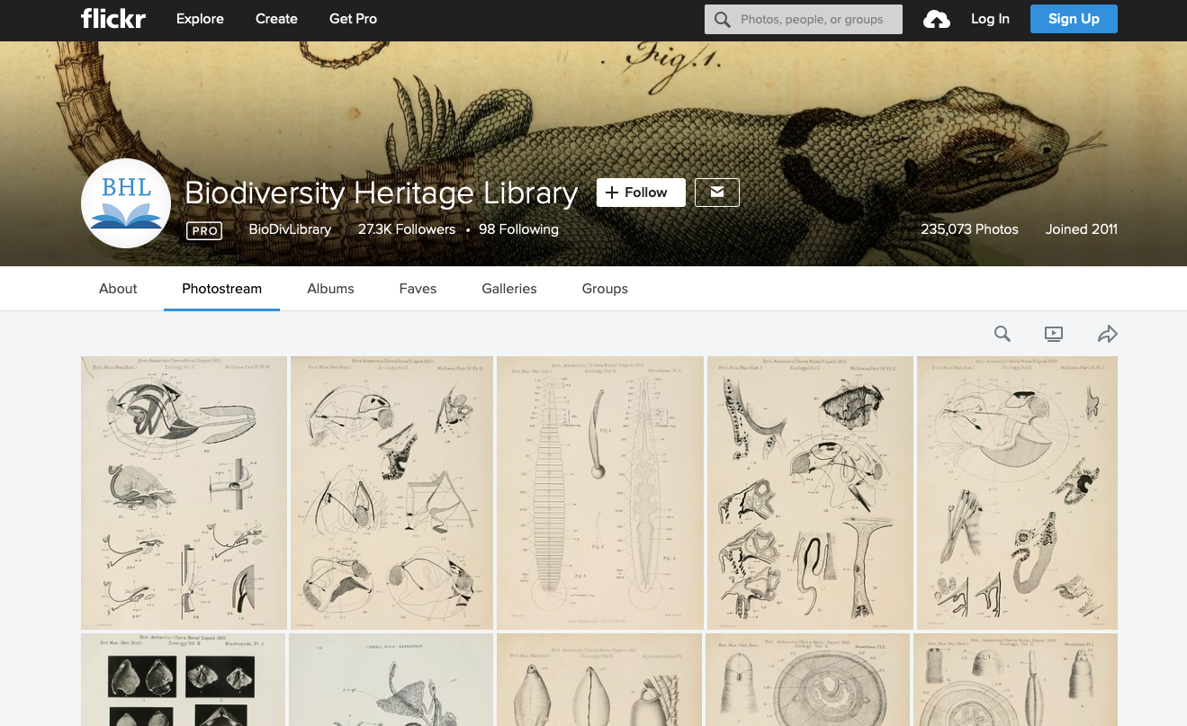 Biodiversity Heritage Library Flickr Stream Screenshot