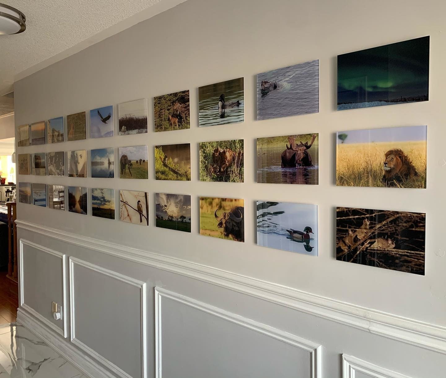 Gallery wall of acrylic photo prints shared by Posterjack customer