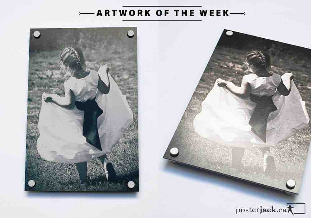 Sweet wedding photo of flower girl printed on a Posterjack Metal Print