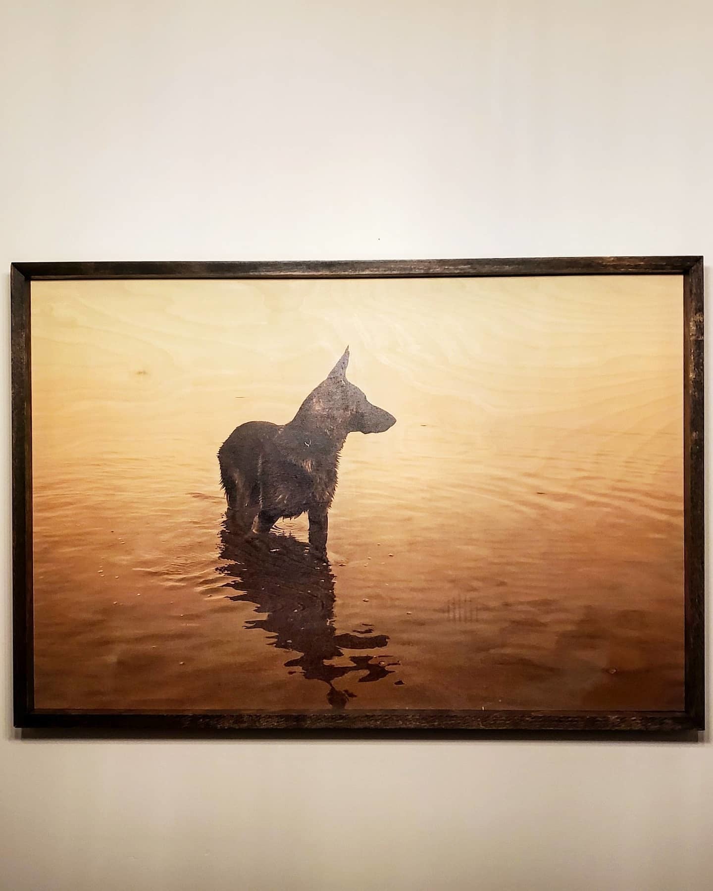 Picture of Dog Printed on Wood