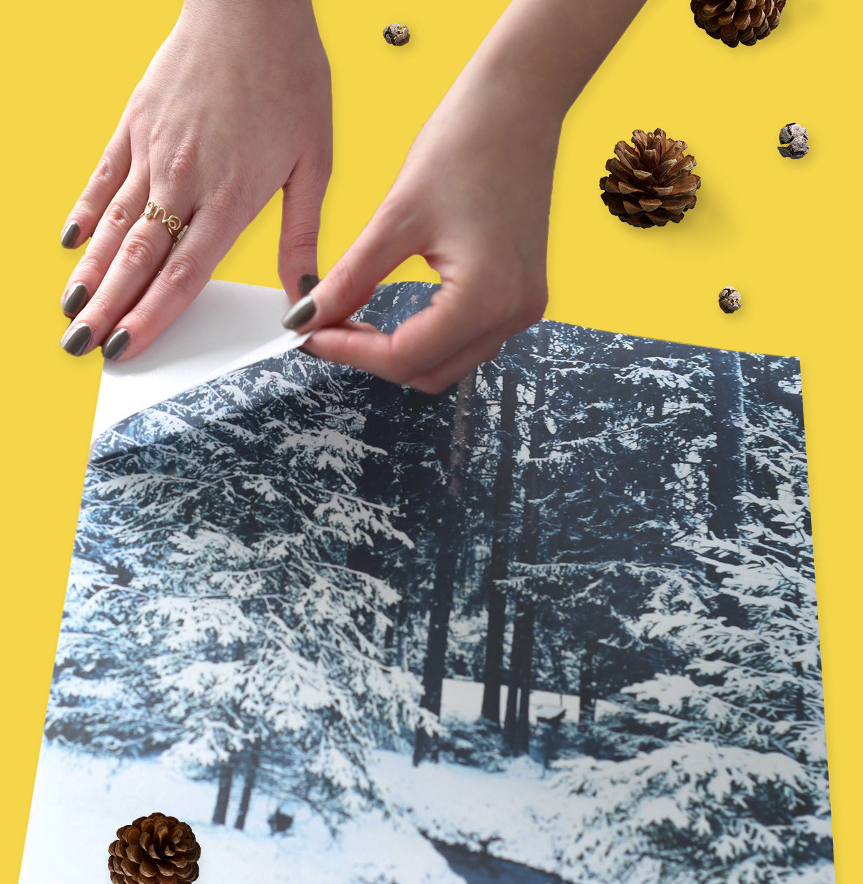 Holiday Gift Guide & Stocking Stuffers for Kids - Posterjack Peel & Stick Prints
