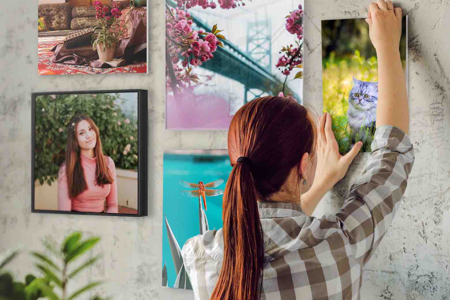Person Creating Gallery Wall of Pictures Printed by Posterjack