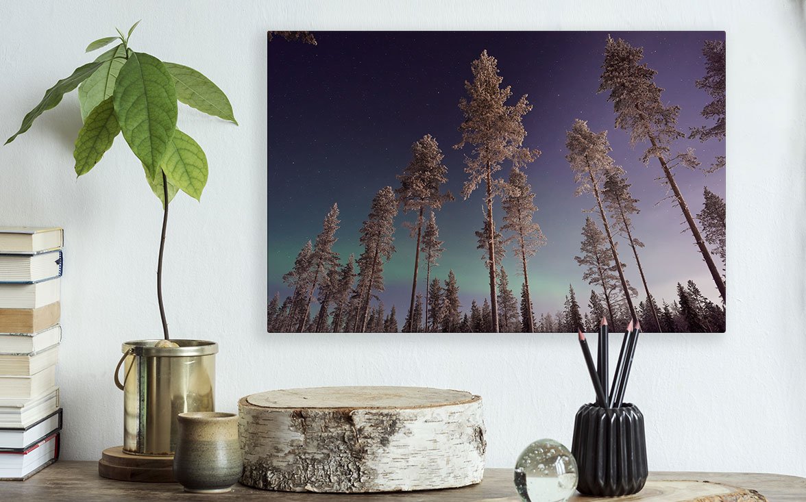 Striking Image of the Night Sky with Trees Printed on HD Metal and Displayed Above a Desk