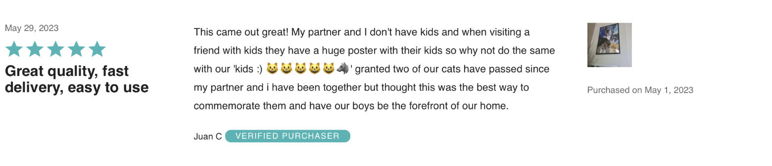 Customer review of poster prints made by Posterjack in Toronto