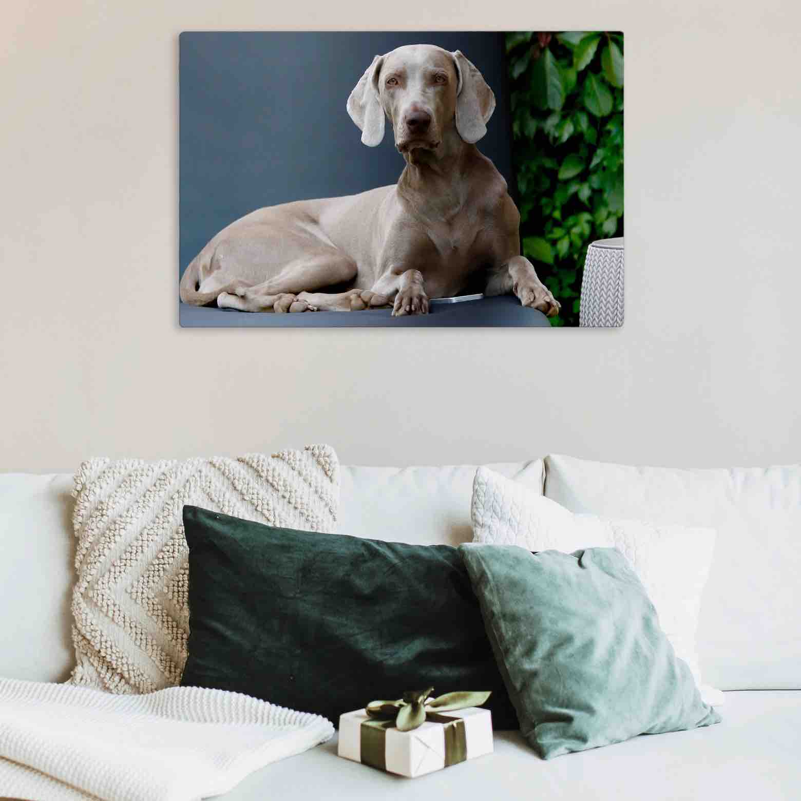 Personalized Photo of Dog Printed on HD Metal by Posterjack Canada