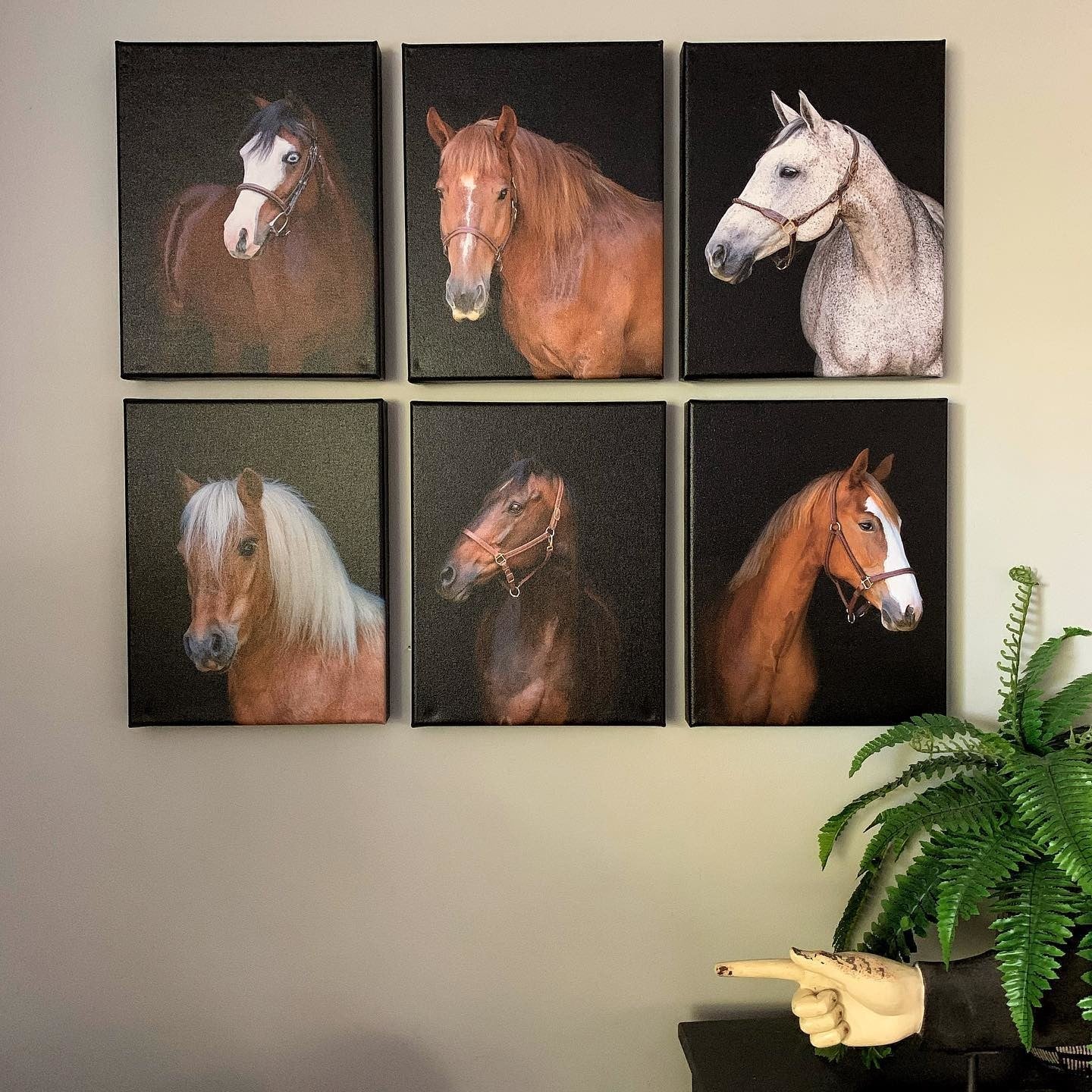 Posterjack Customer Photo of Horse Portraits Printed on Canvas