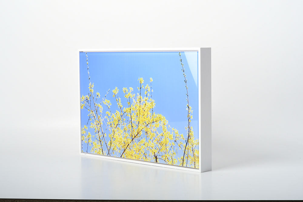 White Float Frame with Acrylic Print by Posterjack Canada
