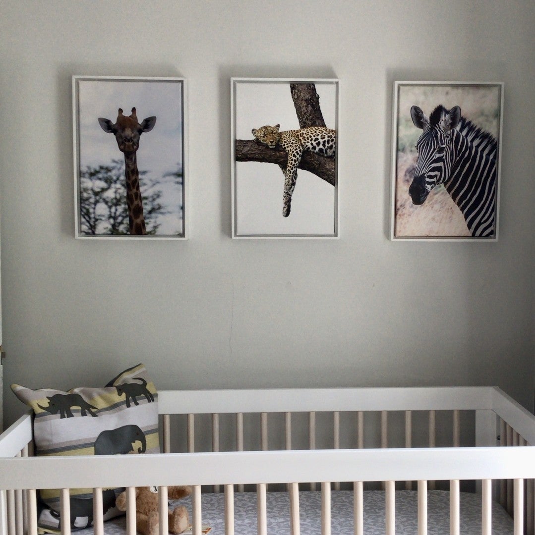 Animal Portraits Printed and Displayed in a Nursery