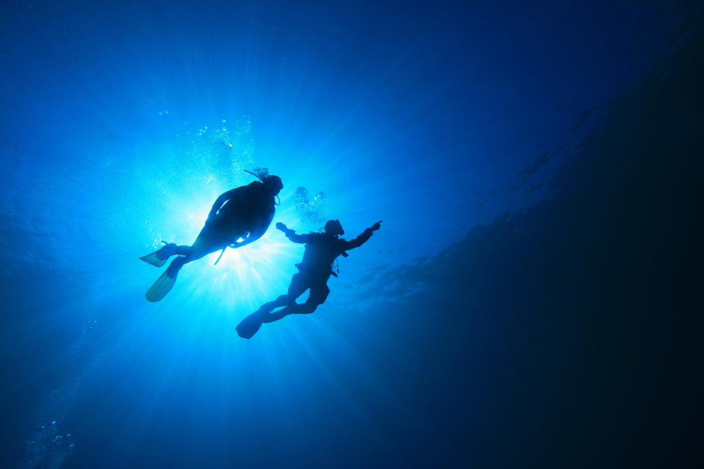 Underwater photo of two scuba divers 