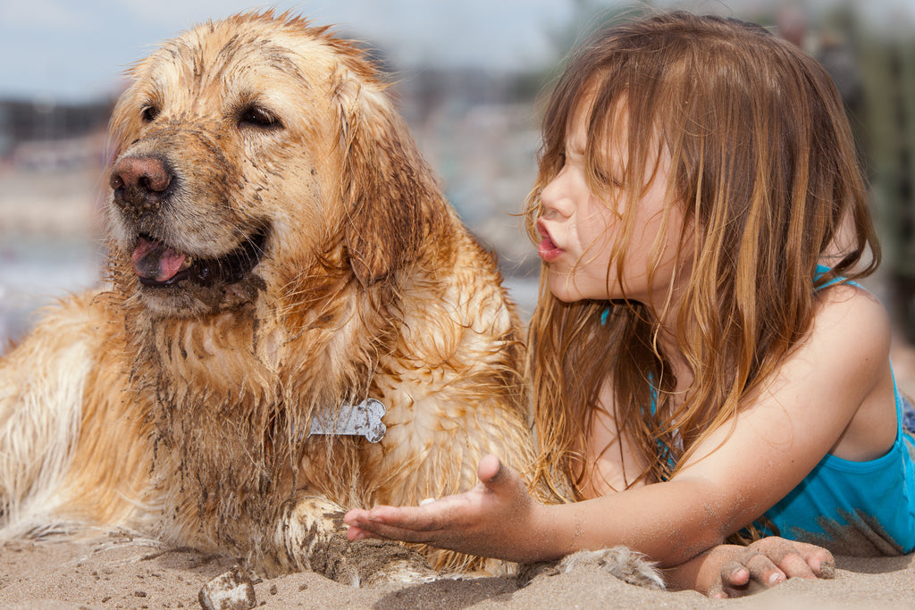 Little girl on the beach talking to her dog that is covered in sand