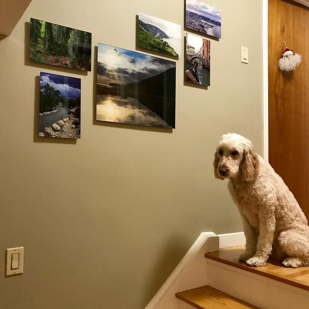 Staircase Gallery Wall with Six Photos