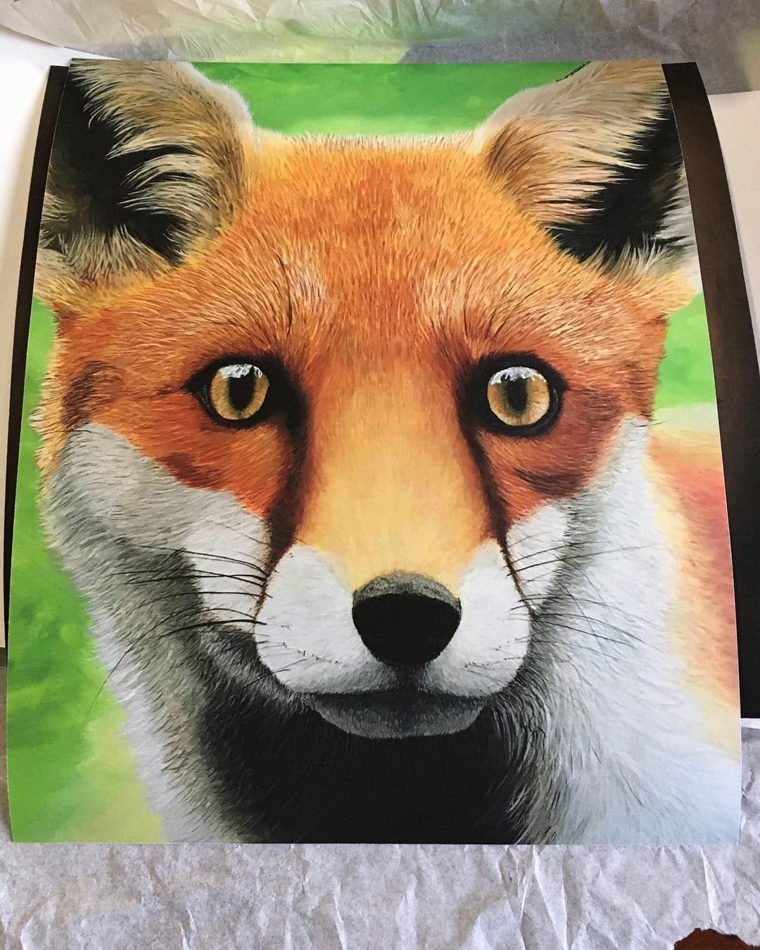 Fine Art Print of Fox - Photo by danicrobbins (Instagram)