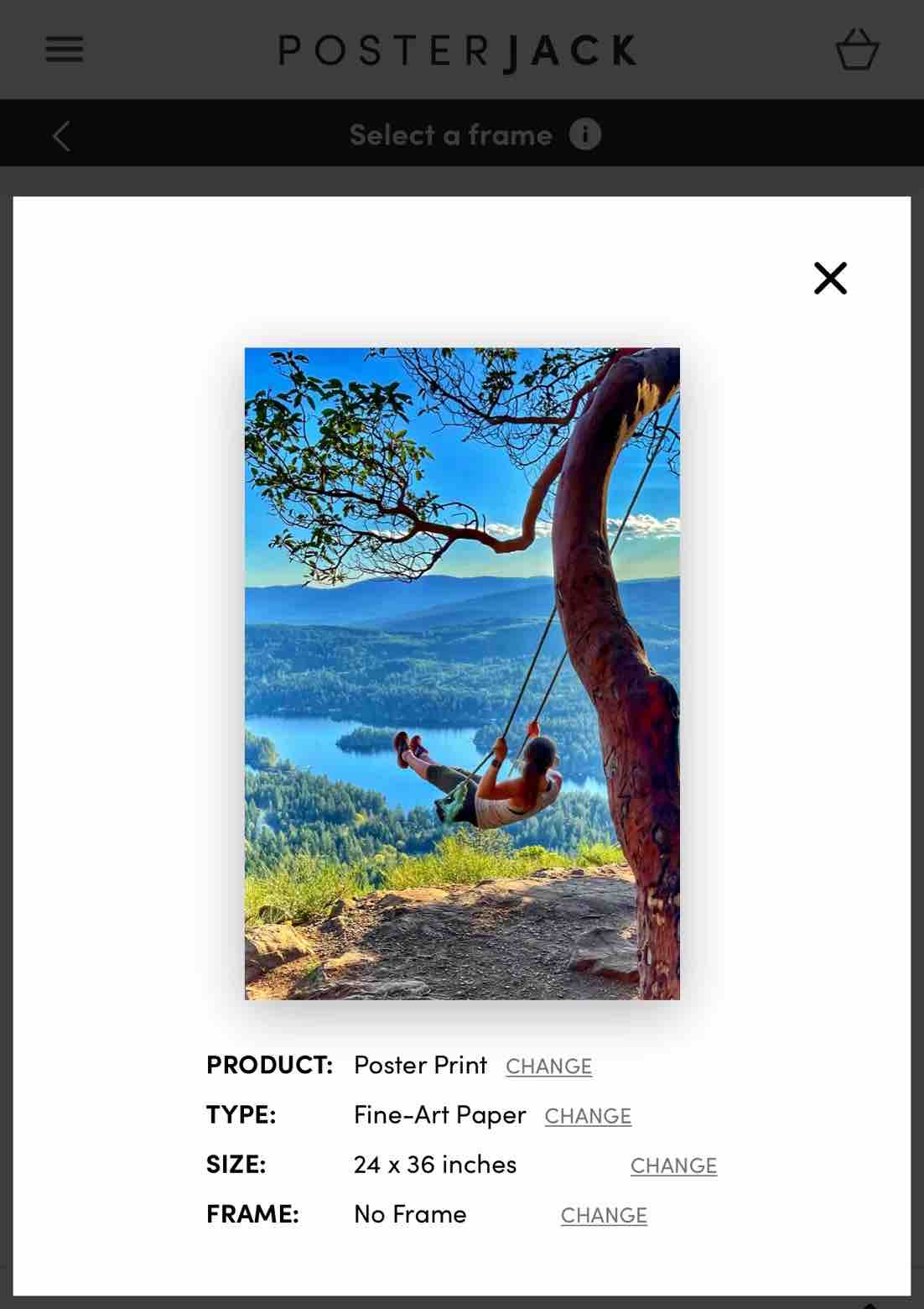 iPhone Picture Print Preview on Posterjack Canada Website