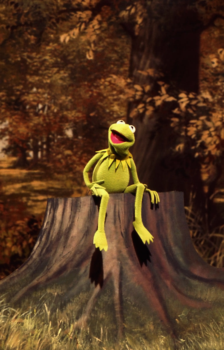 Kermit the Frog sitting on a tree stump