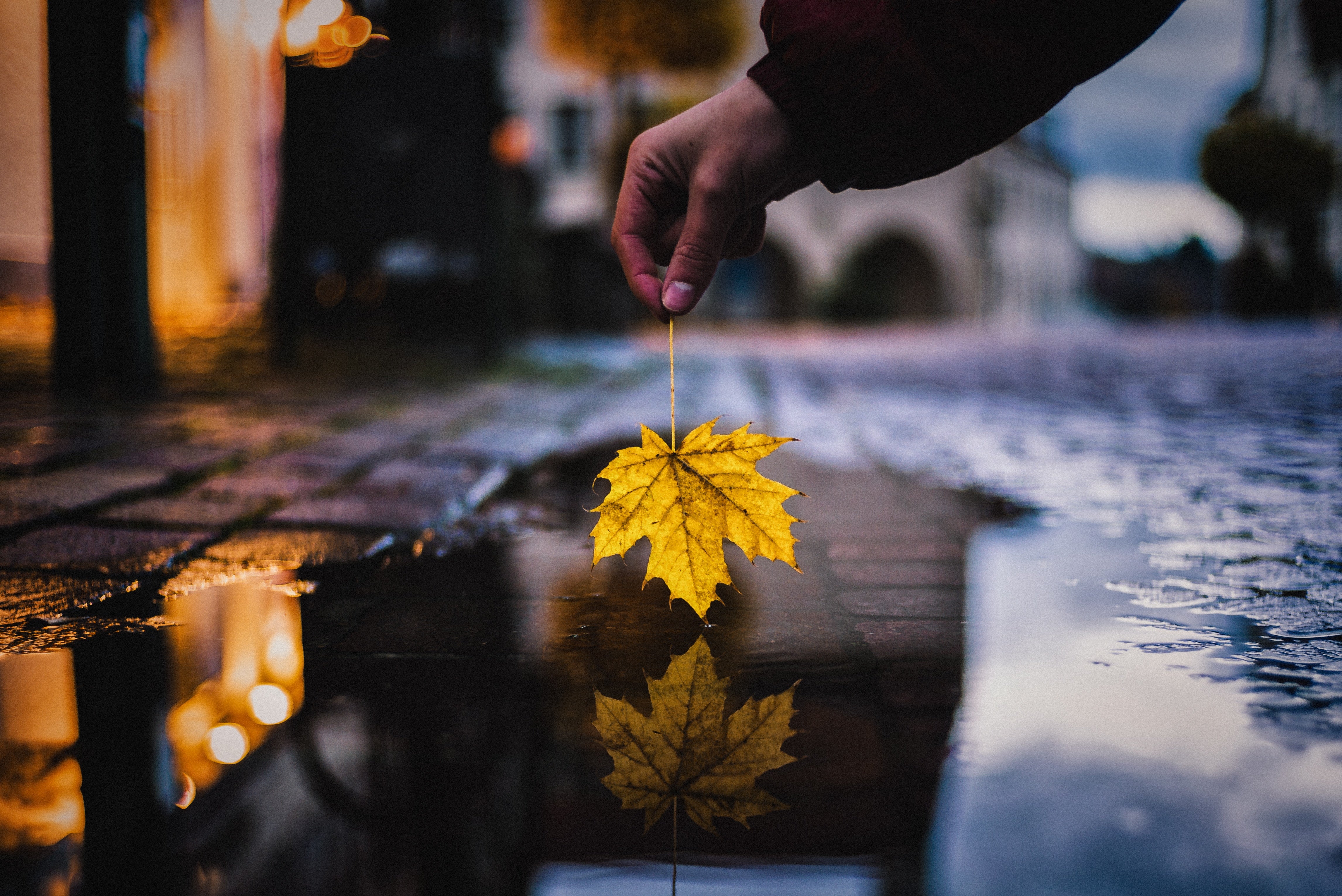 Réflexion - Votre vie en défi photo 20/20