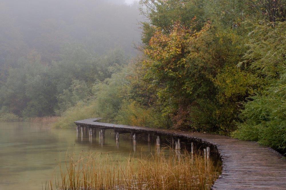 Wooden path along a lake - example of curved leading lines in photography