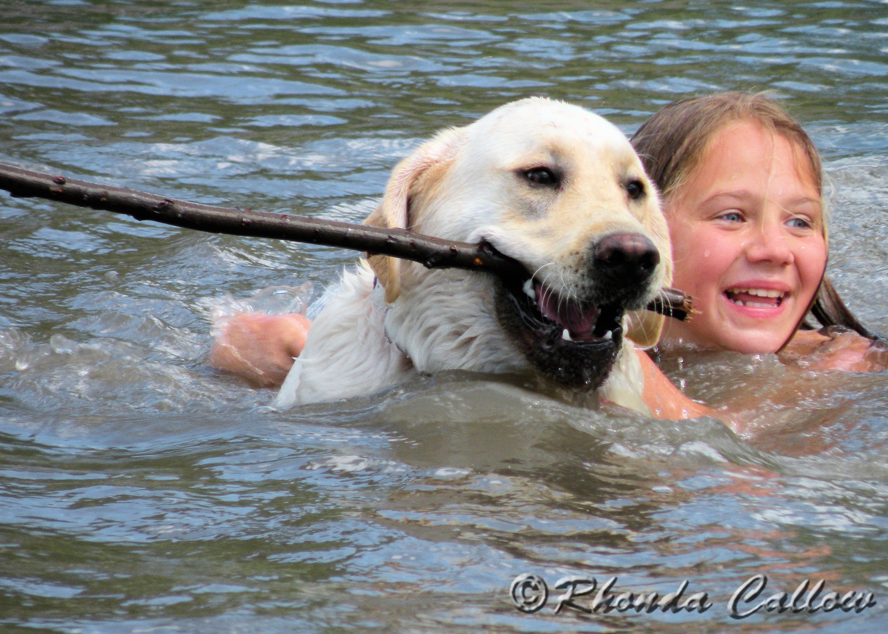 Happy yellow Labrador and girl swimming in a lake in BC, Canada