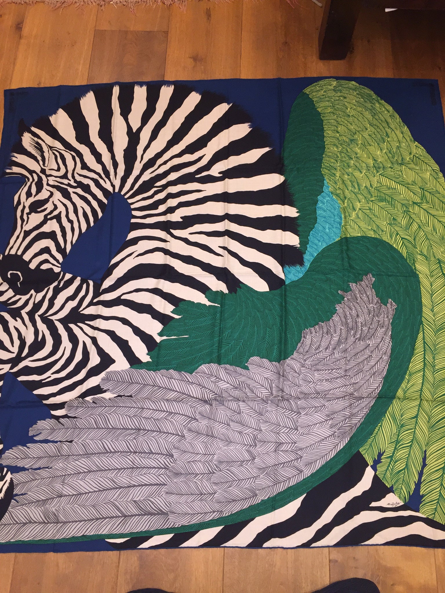 hermes zebra pegasus shawl