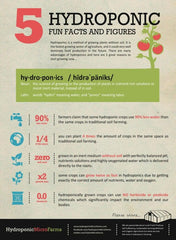 5 Facts and Figures about Hydroponics