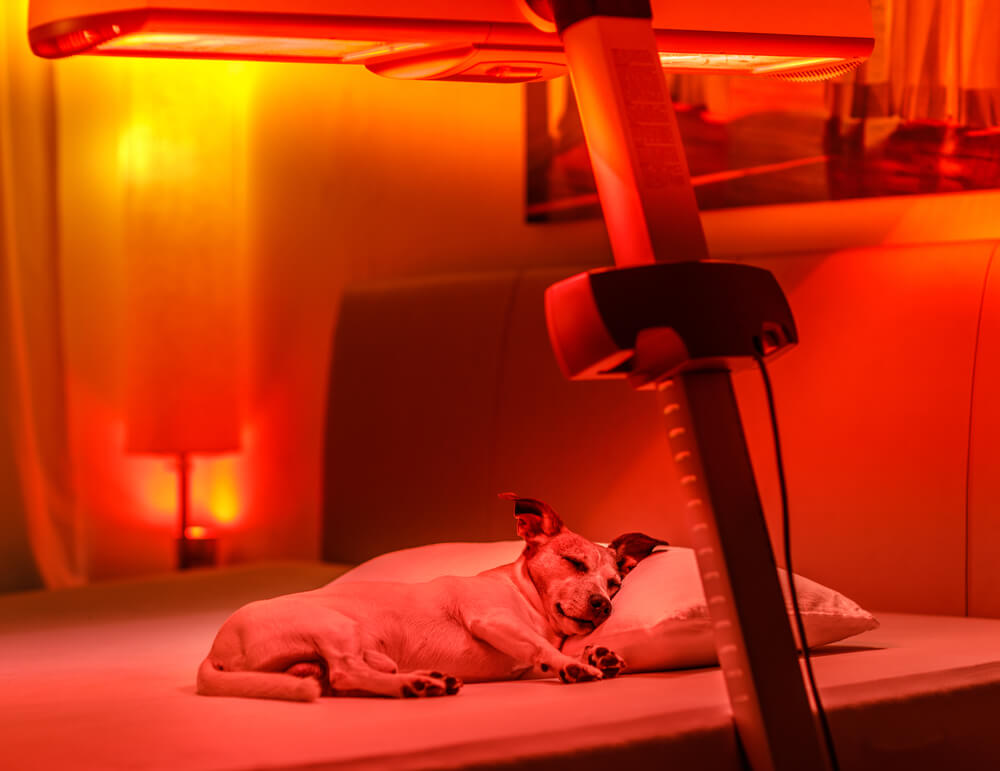 Practical Application of Red Light Therapy