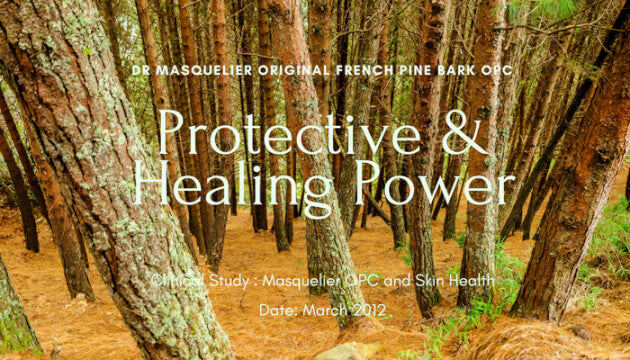 Taut Collagen - Masquelier French Pine Bark Skin Health clinical study