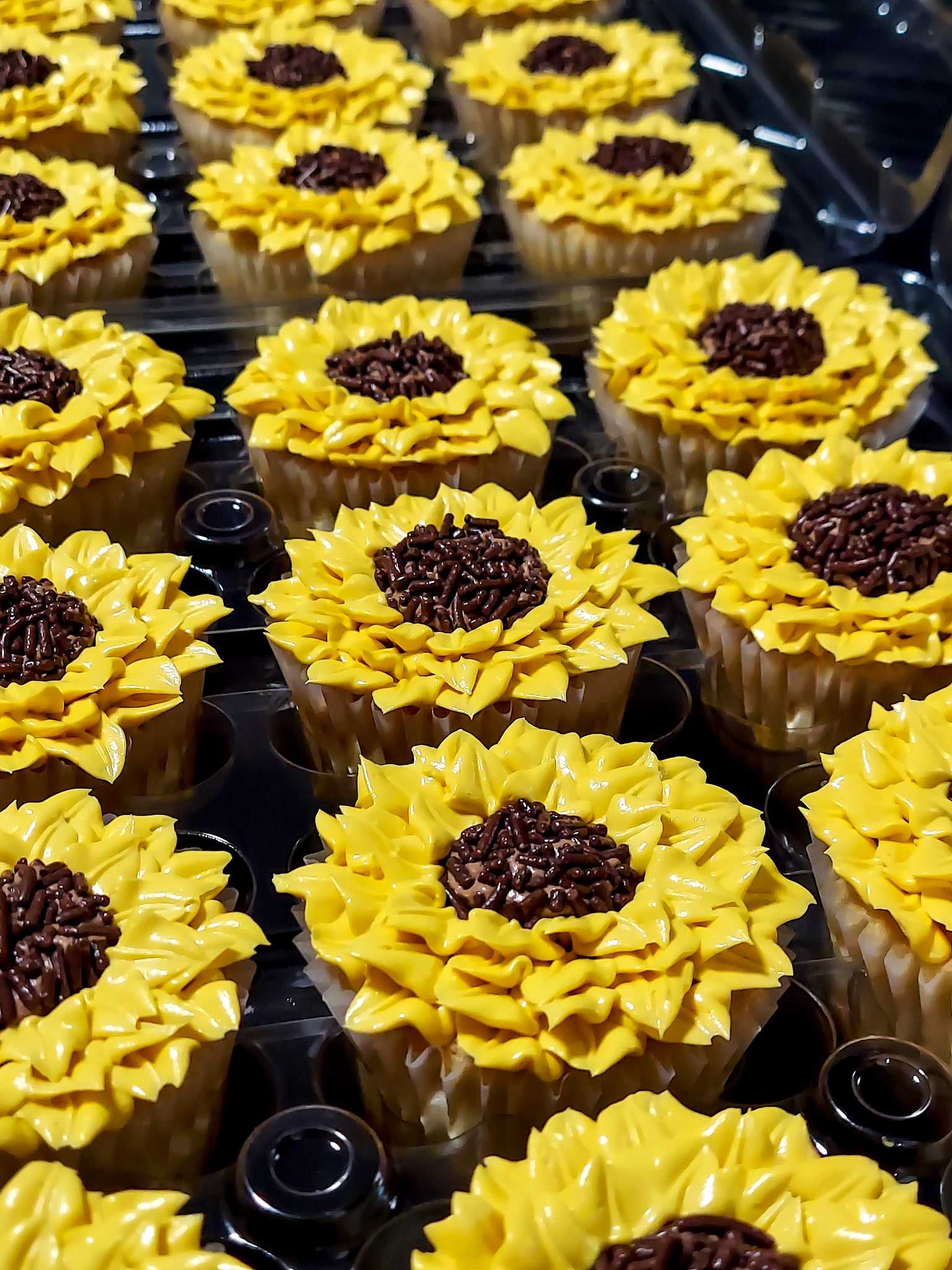 Sunflower Cupcakes – Storybook Bakery