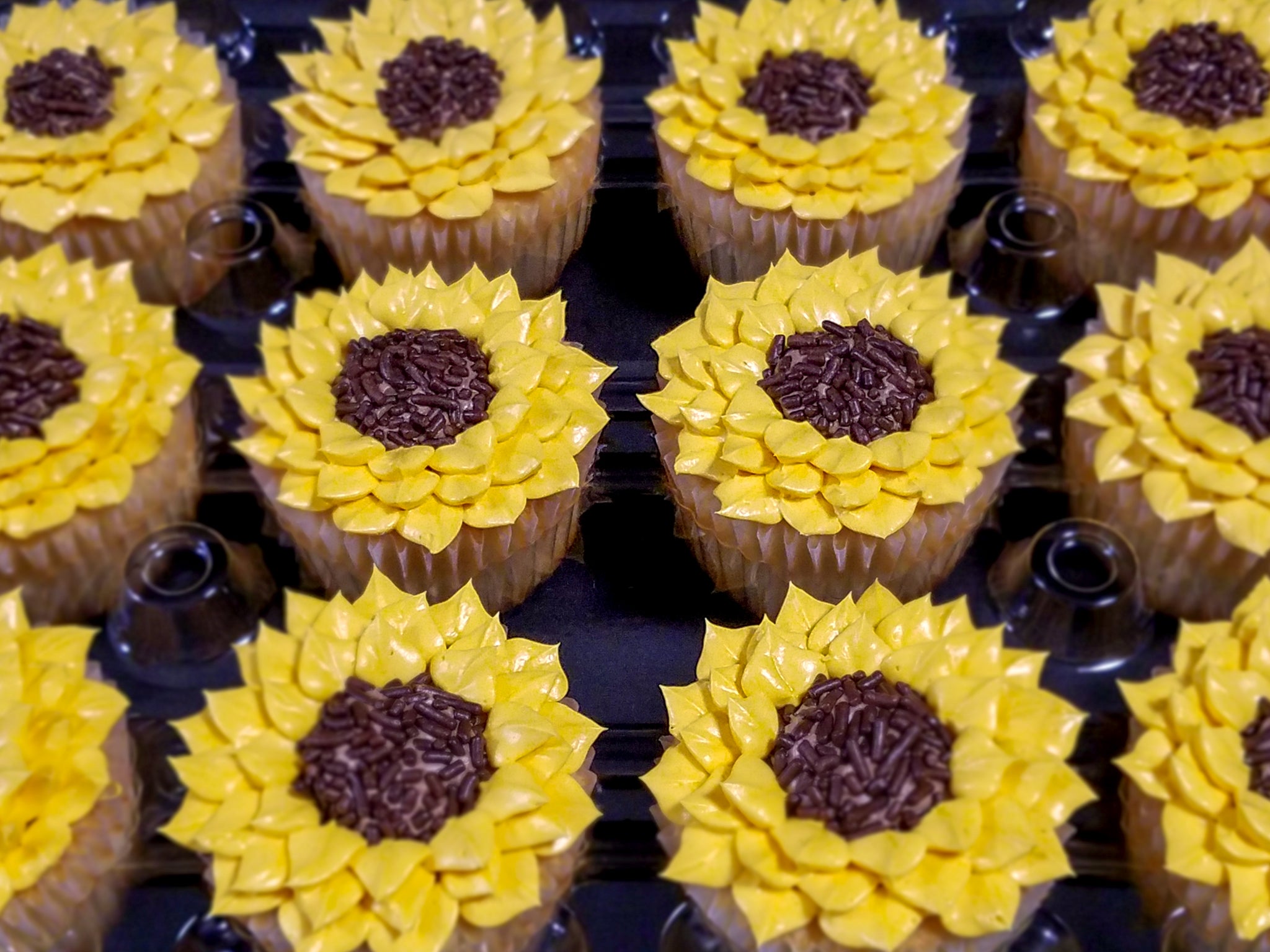 Sunflower Cupcakes – Storybook Bakery