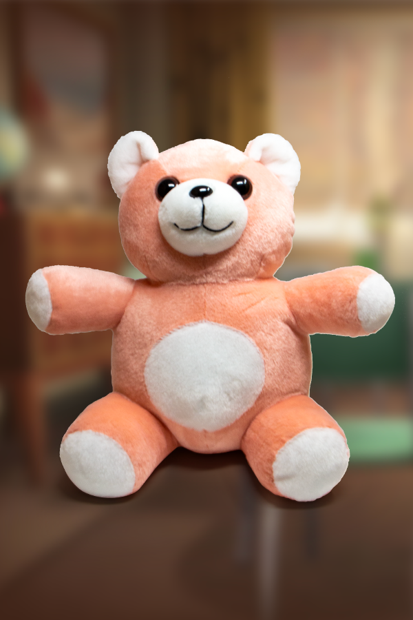 pink bear plush