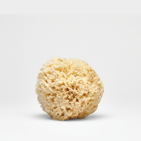 Biodegradable Loose Large Wedge Sponge, Taupe - 13712