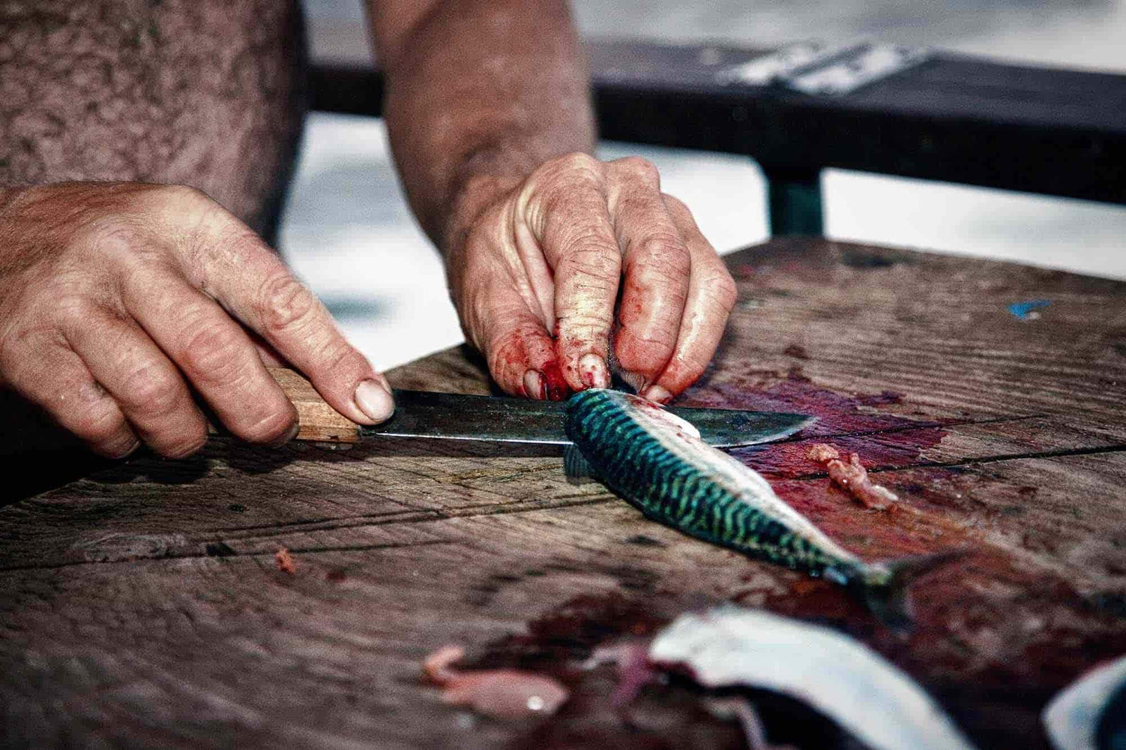 comment pecher des couteaux de mer de la