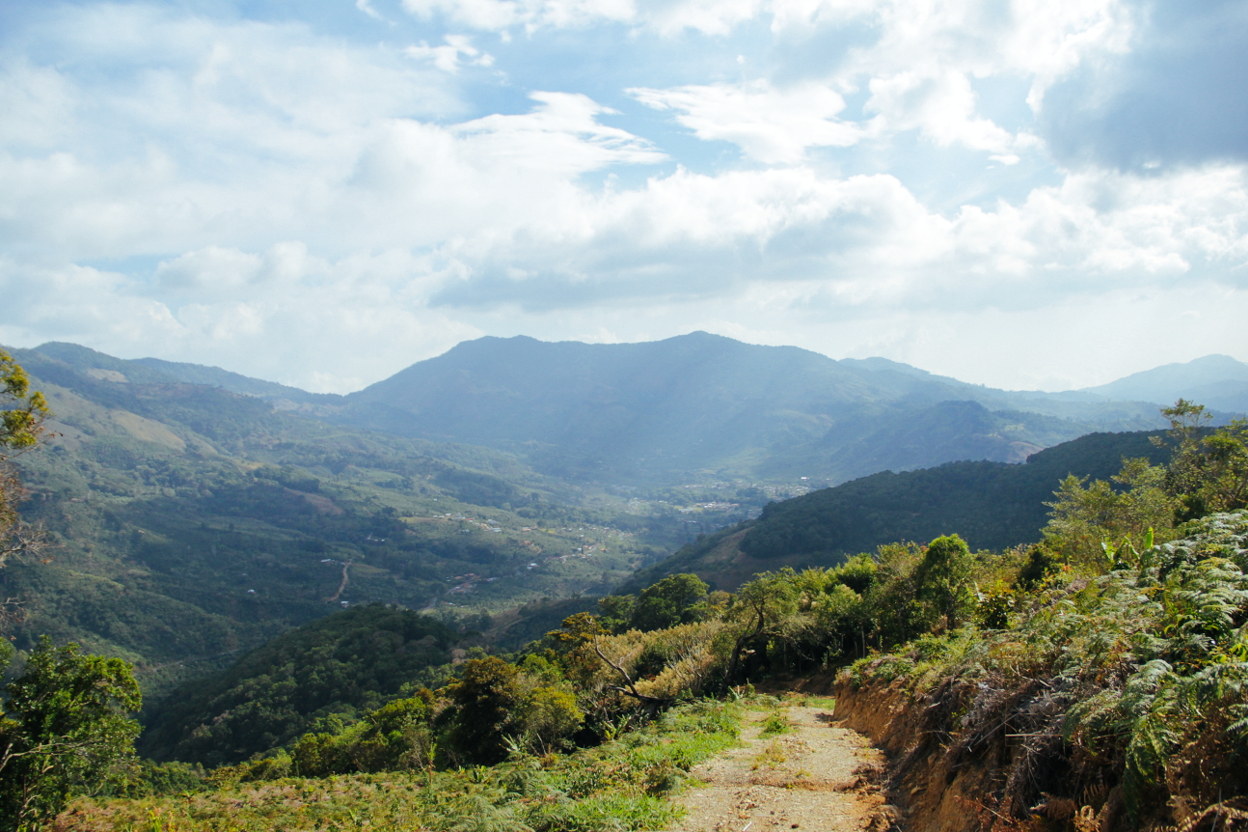 Costa Rica Scout Coffee