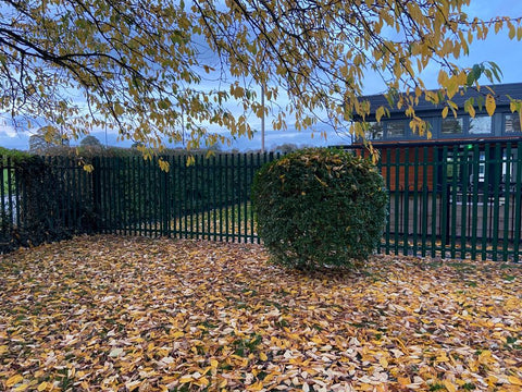 Palisade Fencing Installation for Christ Church School in Stone | trenthamfencing.co.uk