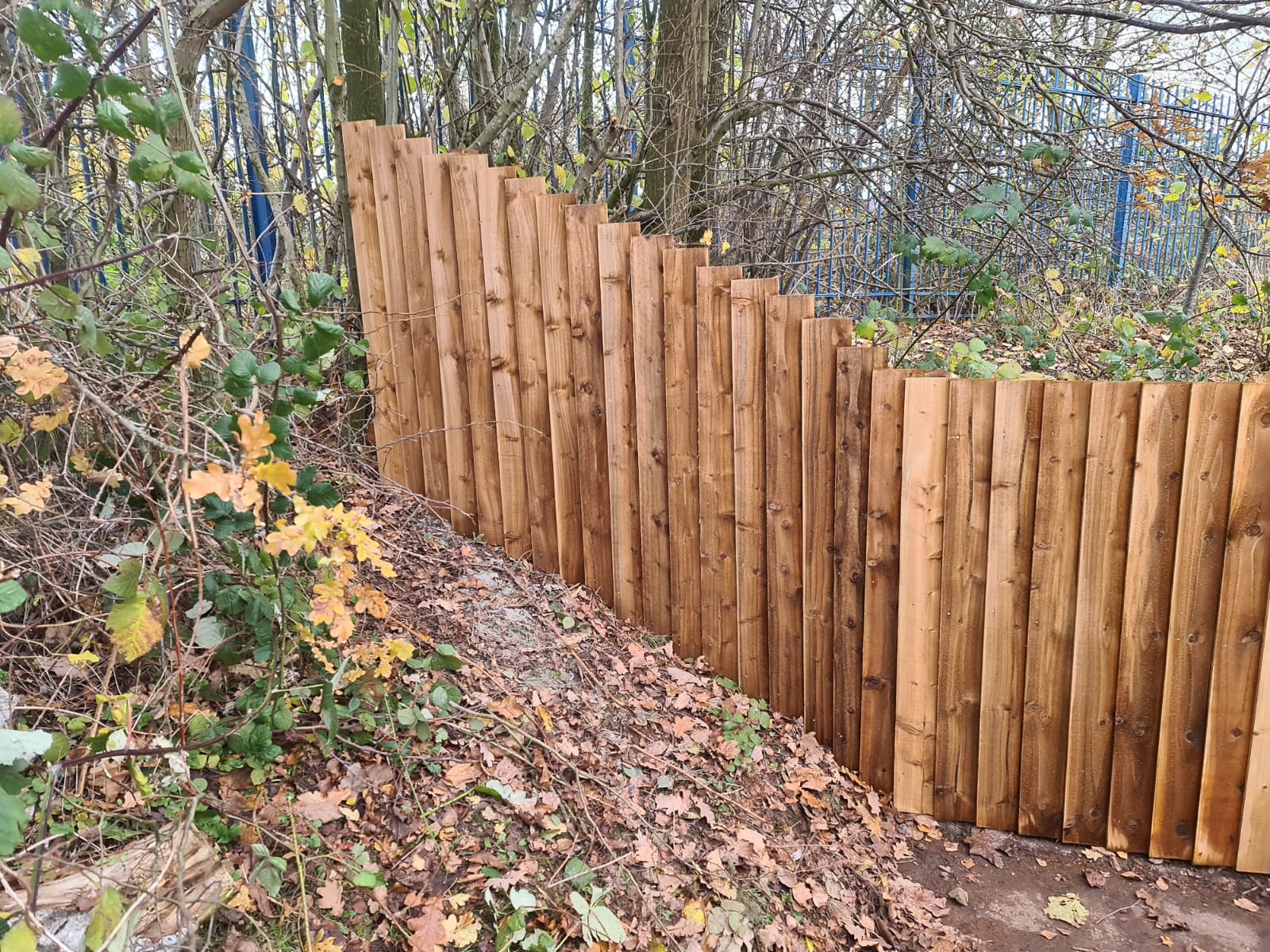 In-Situ Feather Edge Fencing Supplied and Installed for Hempstalls Primary School in Cross Heath, Newcastle