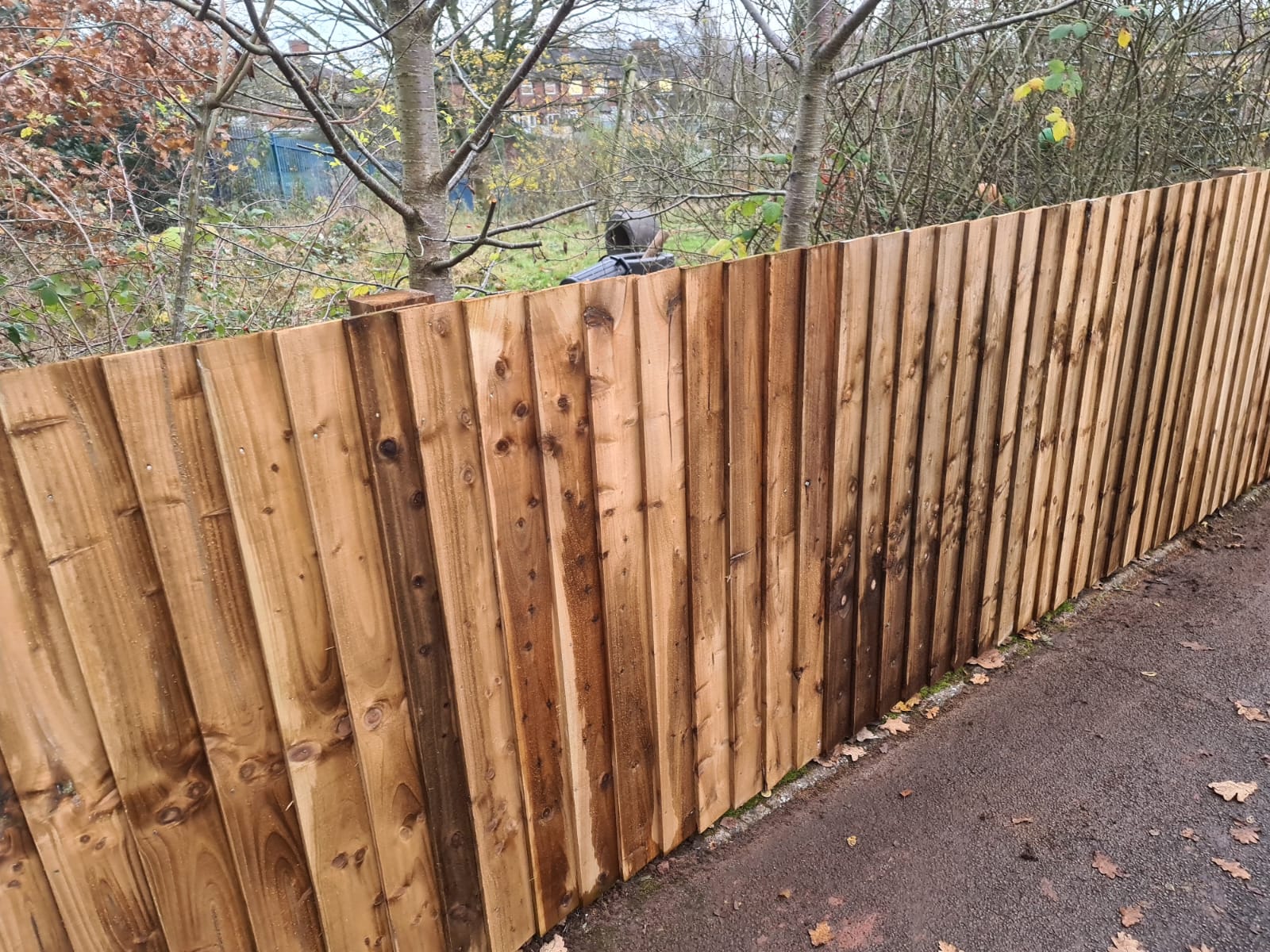 In-Situ Feather Edge Fencing Supplied and Installed for Hempstalls Primary School in Cross Heath, Newcastle