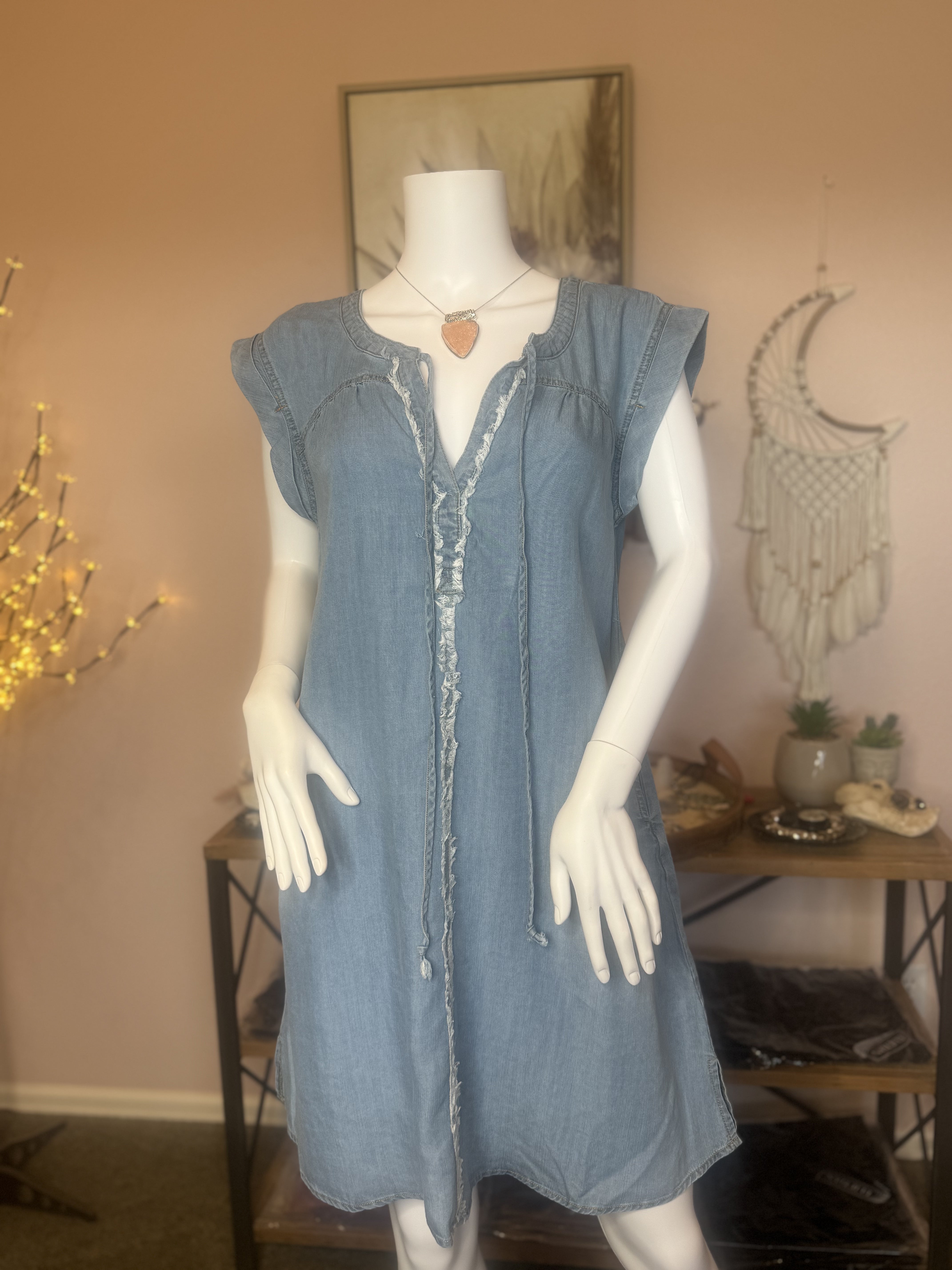 Around Town Denim Dress