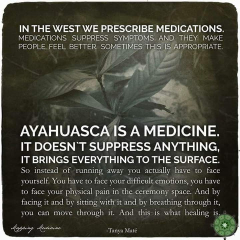 Ayahuasca