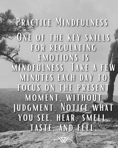 Mindfulness DBT