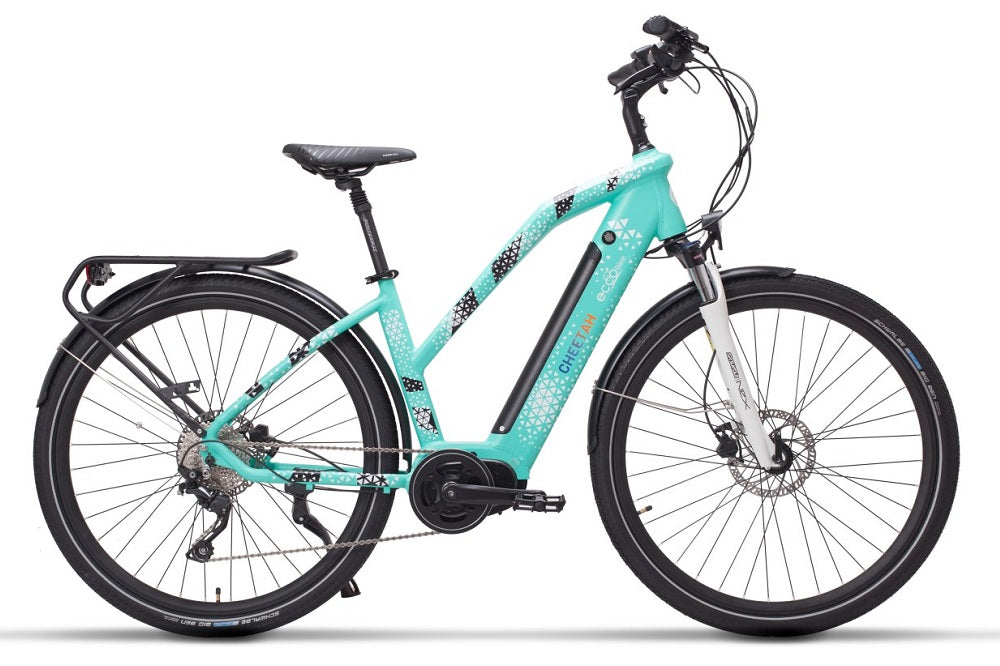 eco cycle electric bike