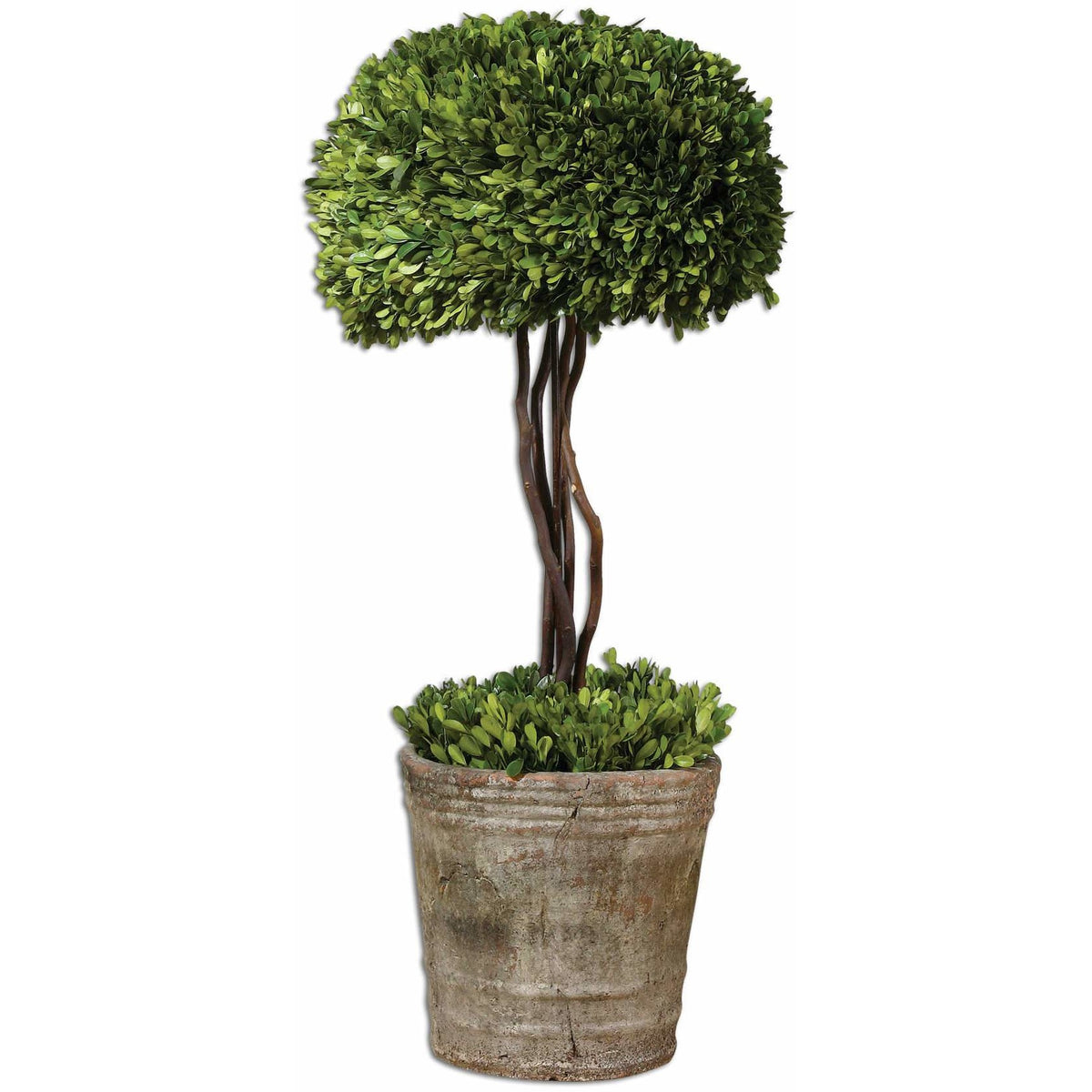 Boxwood топиари