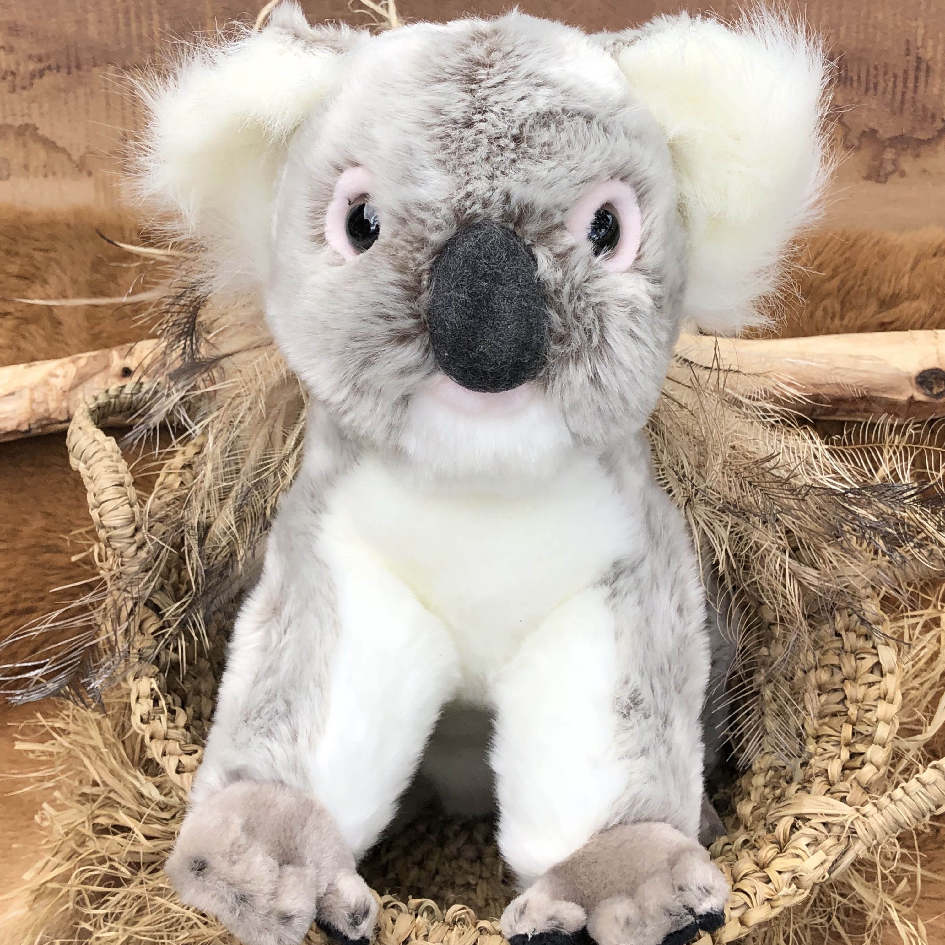 plush koala