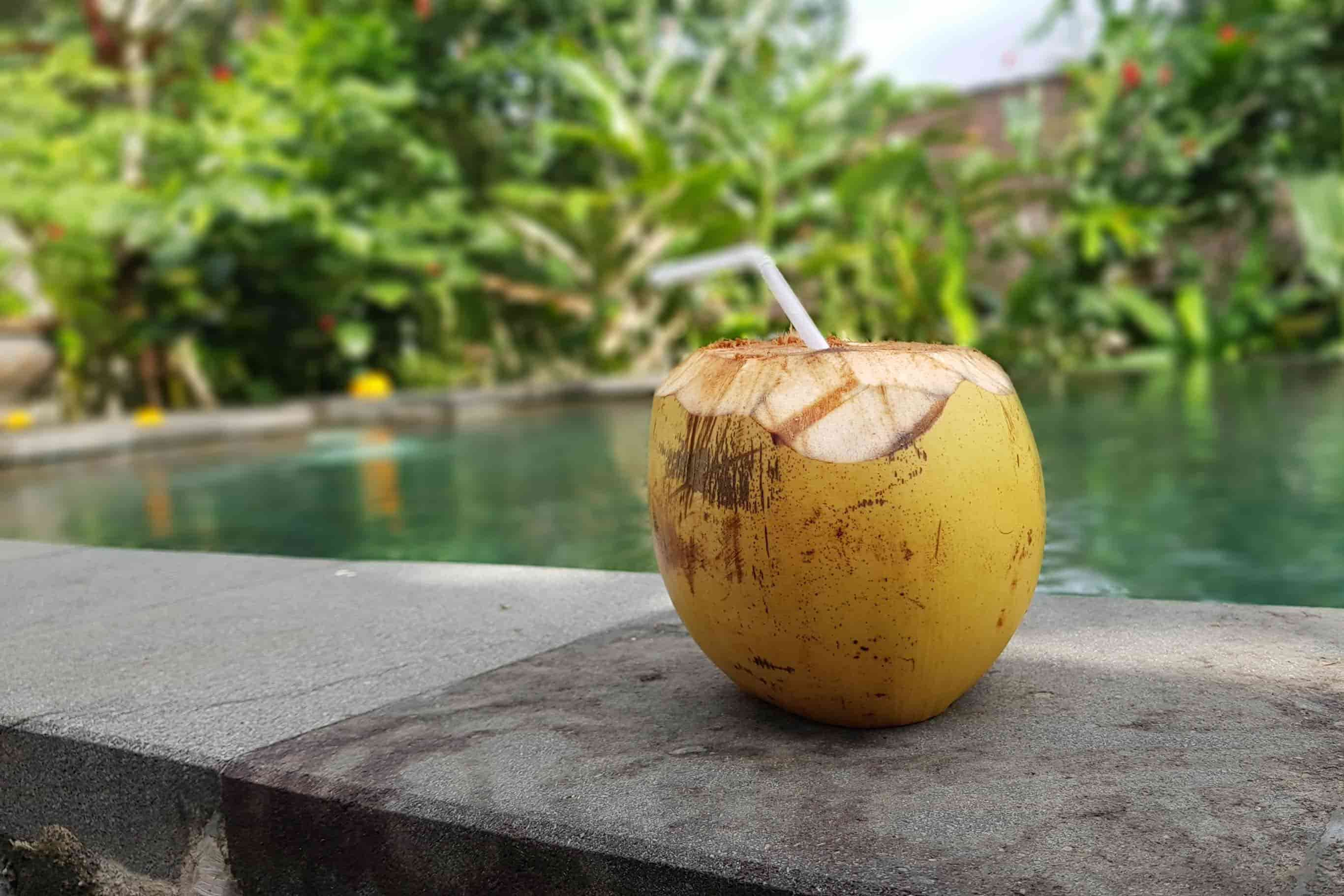 photo of coconut water by a pool