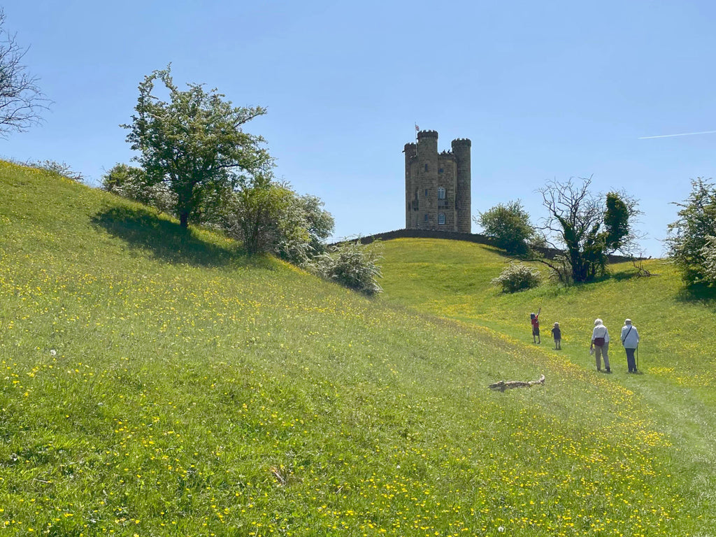Broadway Tower from a wildflower meadow