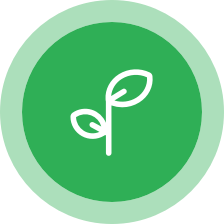 Nexus Green - Sustainable Lubricating & Penetrating Solution – NexusGreen