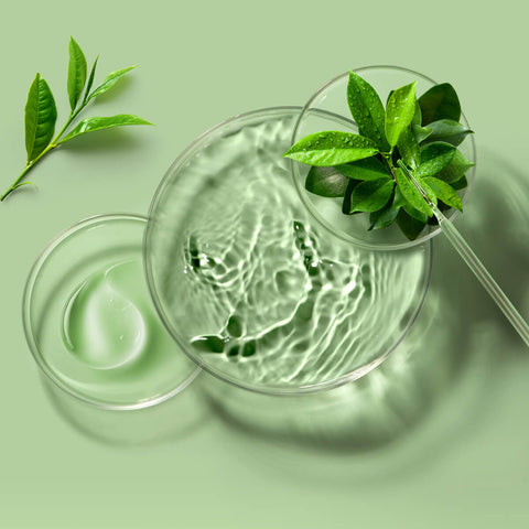 Ingredienser i FOREO Grøn te ansigtsmaske