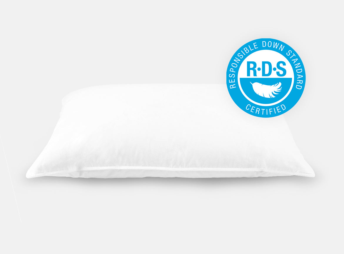 Shop Down & Feather Pillow by Helix | Helix Sleep