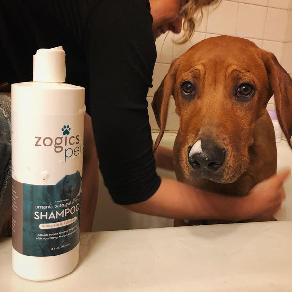 Zogics Pet First Puppy Bath